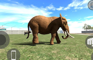 Elephant