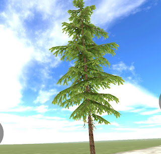Tree 4