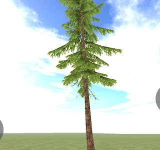 Tree 6