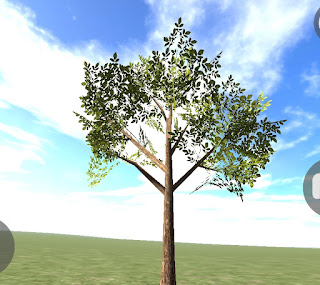 Tree 1